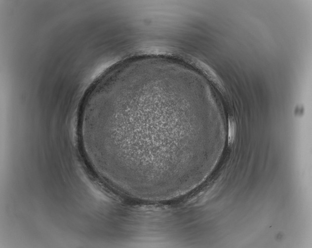 X0000096150627200802011233
