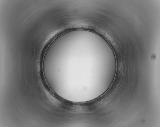 X0000096150629200802011233