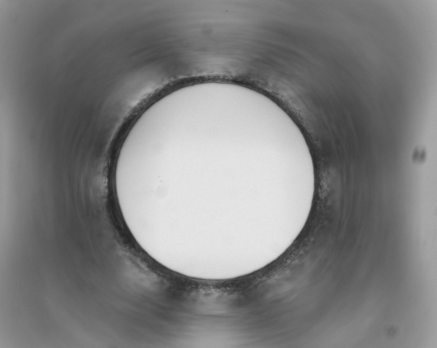 X0000096150632200802011233