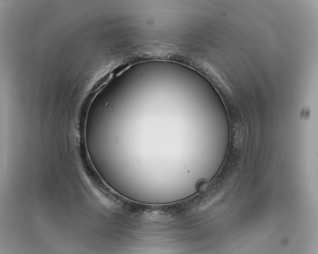 X0000096150634200802011233