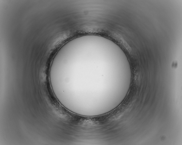 X0000096150635200802011233
