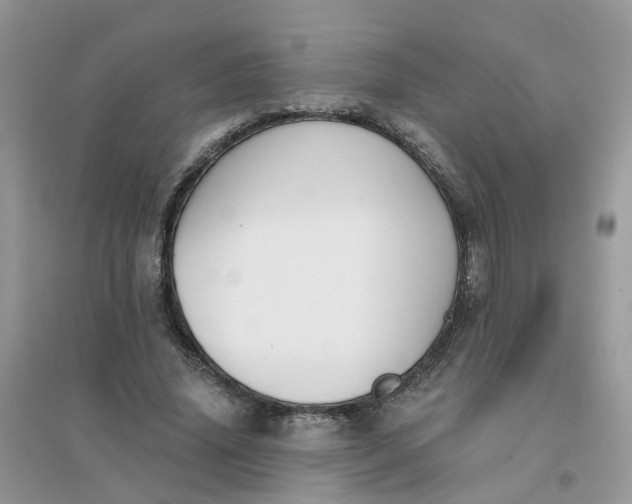 X0000096150636200802011233
