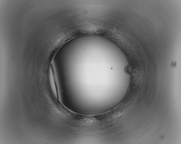 X0000096150642200802011234