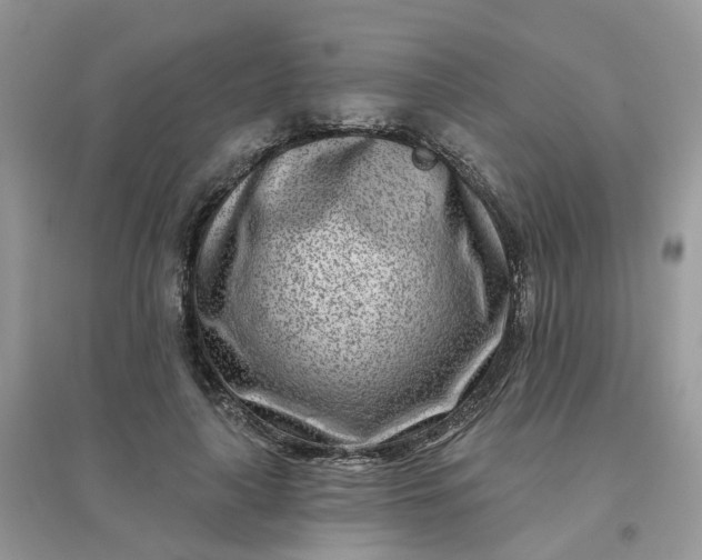 X0000096150643200802011234