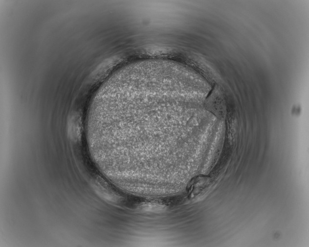 X0000096150644200802011234