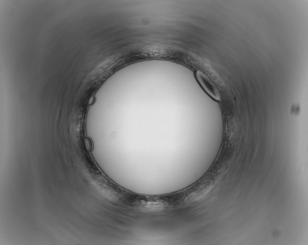 X0000096150645200802011234