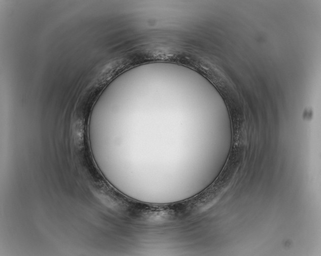X0000096150646200802011234