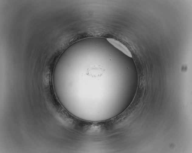 X0000096150647200802011234