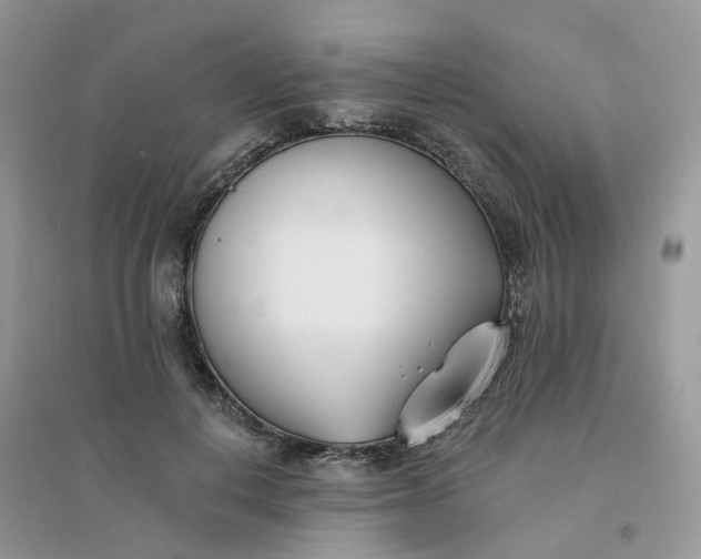 X0000096150648200802011234