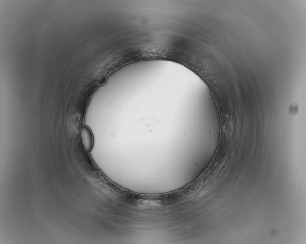X0000096150649200802011234