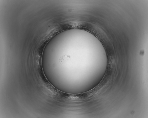 X0000096150650200802011234