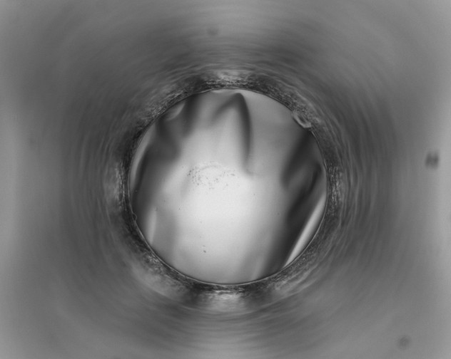 X0000096150651200802011234