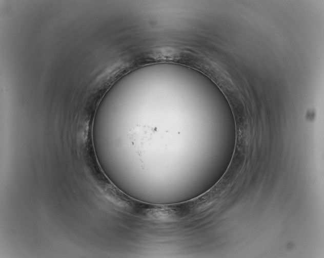 X0000096150652200802011234
