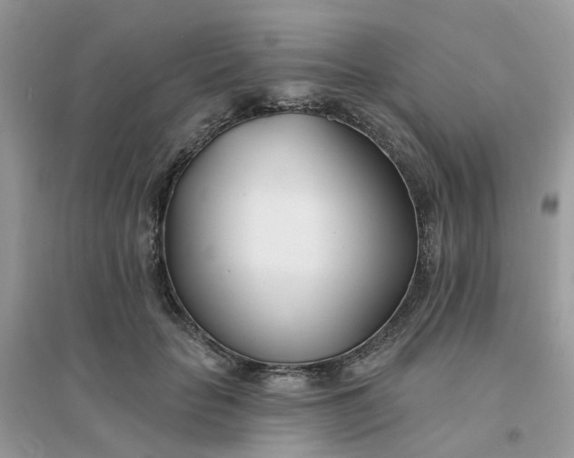 X0000096150653200802011234