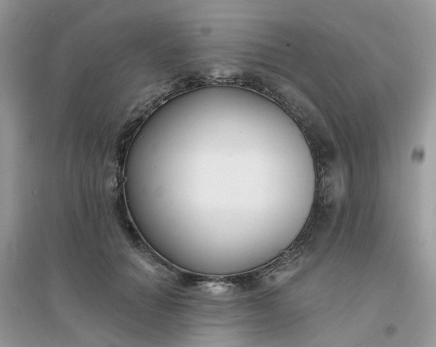 X0000096150654200802011234