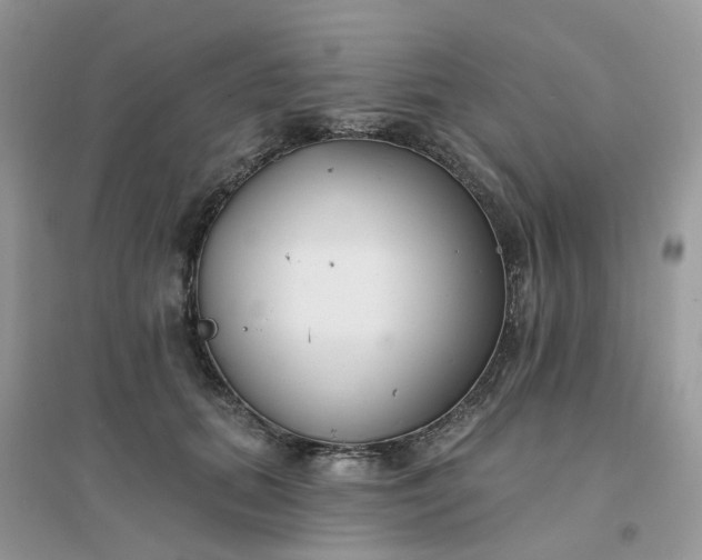 X0000096150655200802011234