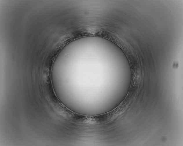 X0000096150656200802011234