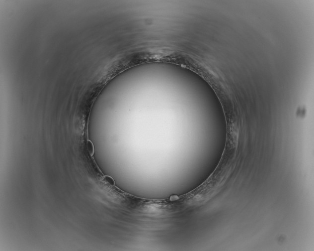 X0000096150657200802011234