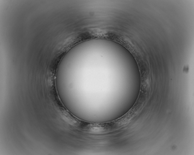 X0000096150658200802011234