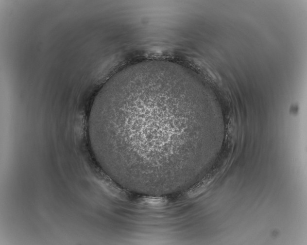 X0000096150659200802011234