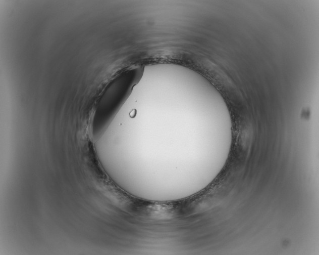 X0000096150660200802011234