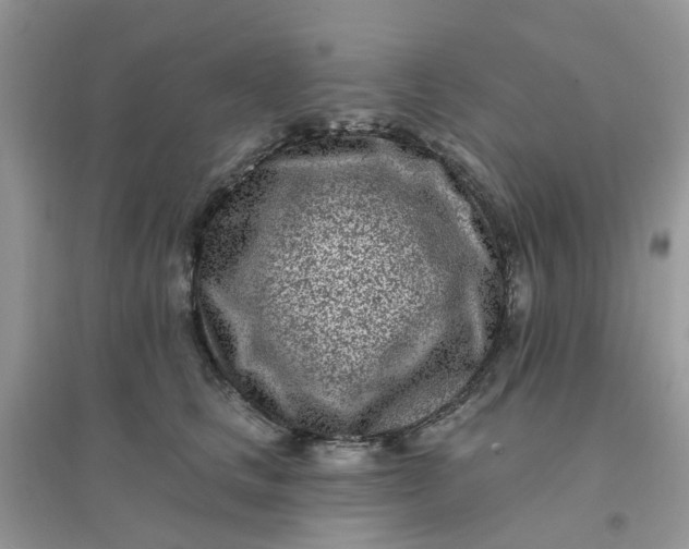 X0000096150661200802011234