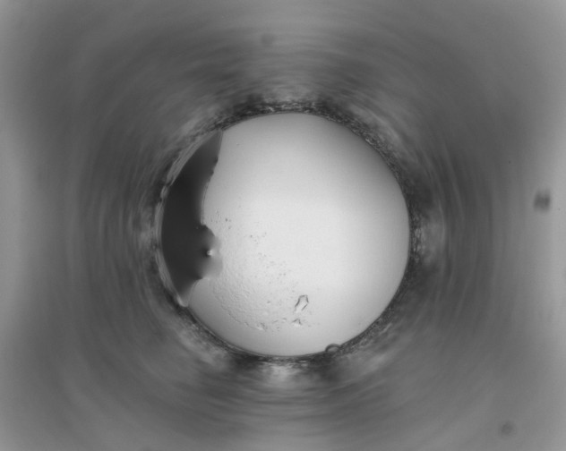 X0000096150662200802011234