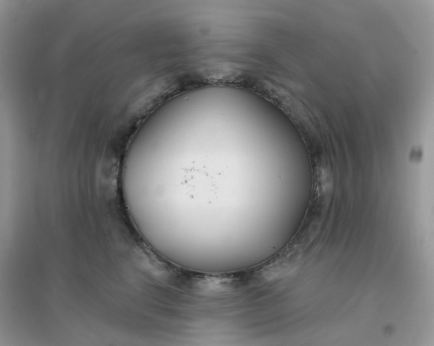 X0000096150664200802011234