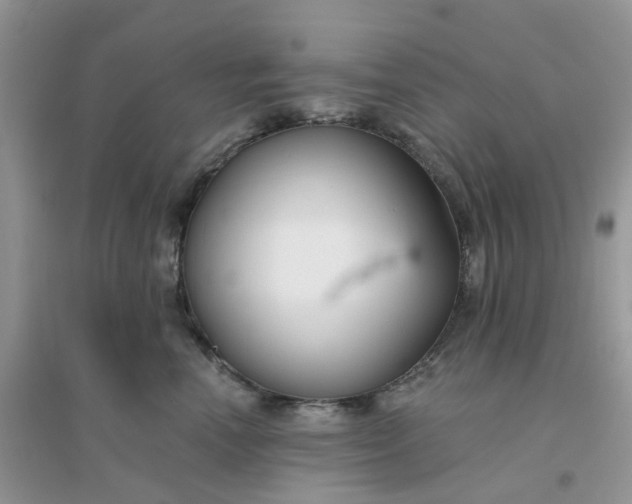X0000096150666200802011234