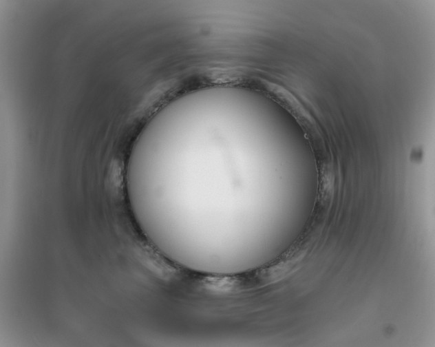 X0000096150667200802011234