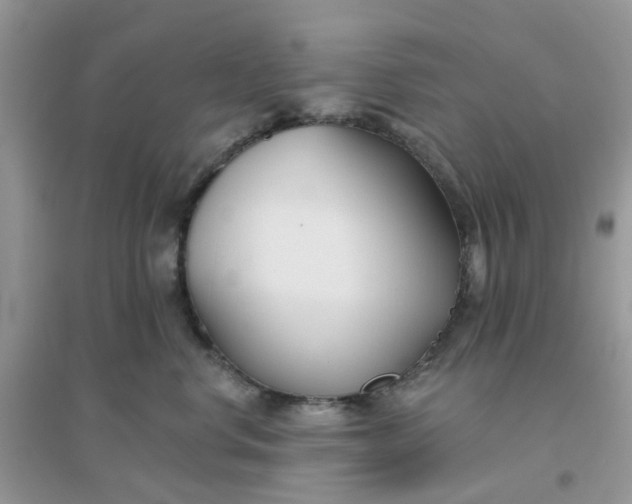 X0000096150668200802011234