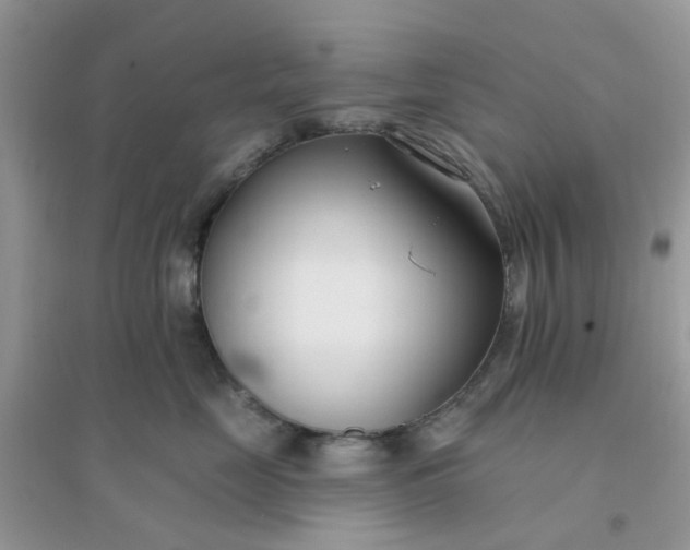 X0000096150669200802011234