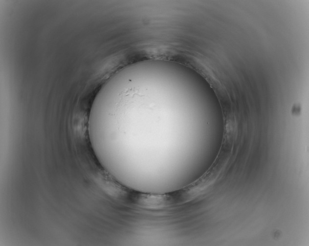 X0000096150671200802011234