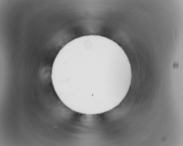 X0000096150672200802011234