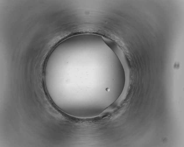 X0000096150673200802011233