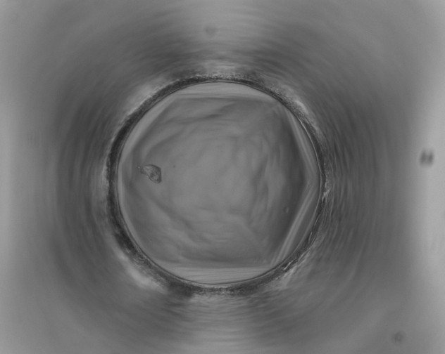 X0000096150674200802011233