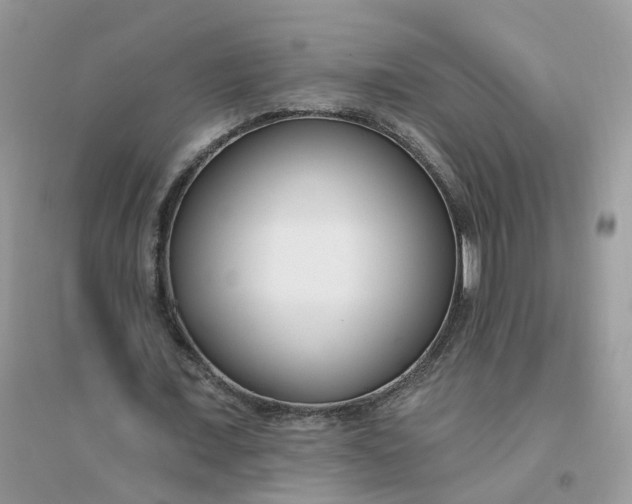 X0000096150675200802011233
