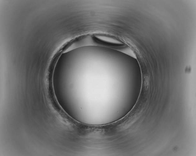 X0000096150676200802011233
