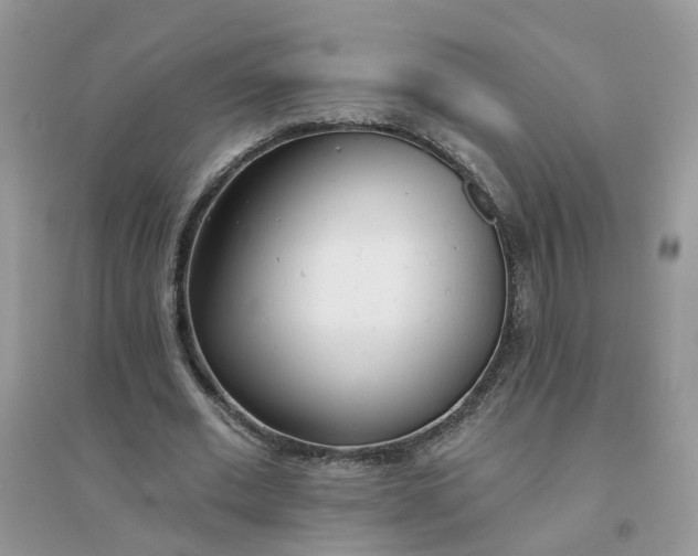 X0000096150677200802011233