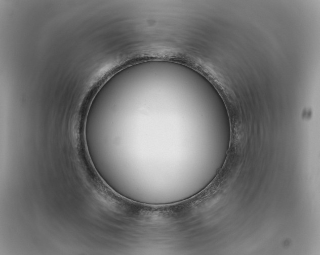 X0000096150679200802011233