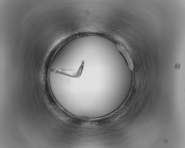 X0000096150680200802011233