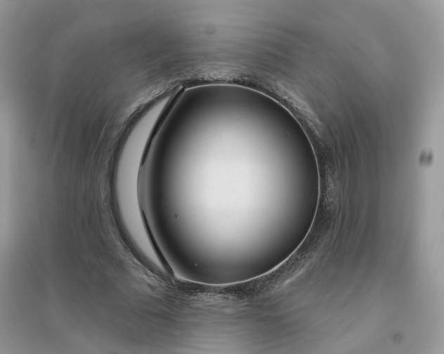 X0000096150681200802011233