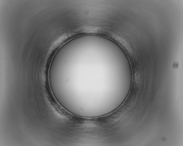X0000096150682200802011233