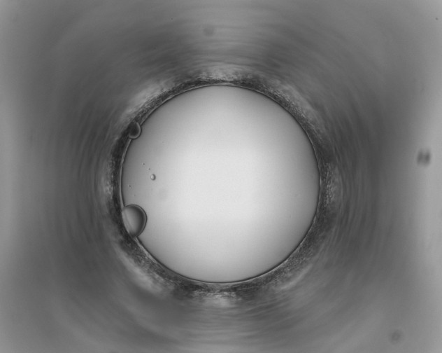 X0000096150683200802011233