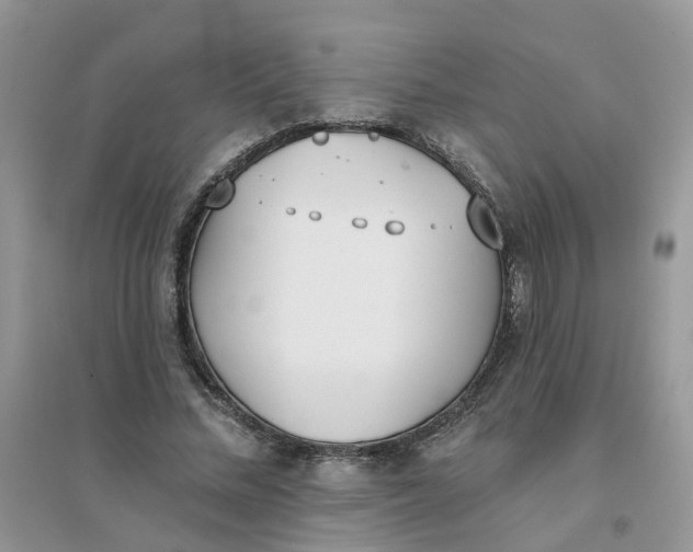 X0000096150684200802011233
