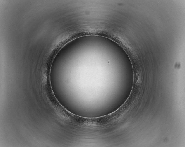 X0000096150685200802011233