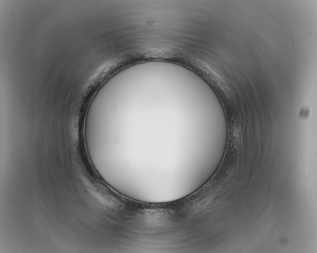 X0000096150686200802011233