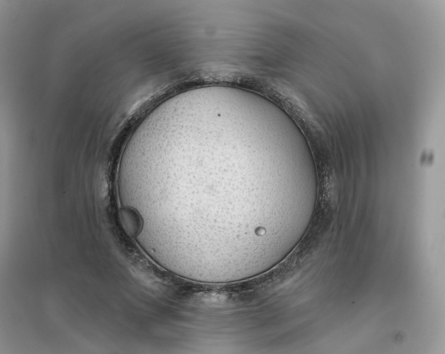 X0000096150687200802011233