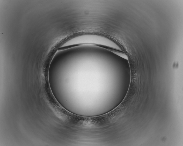 X0000096150688200802011233