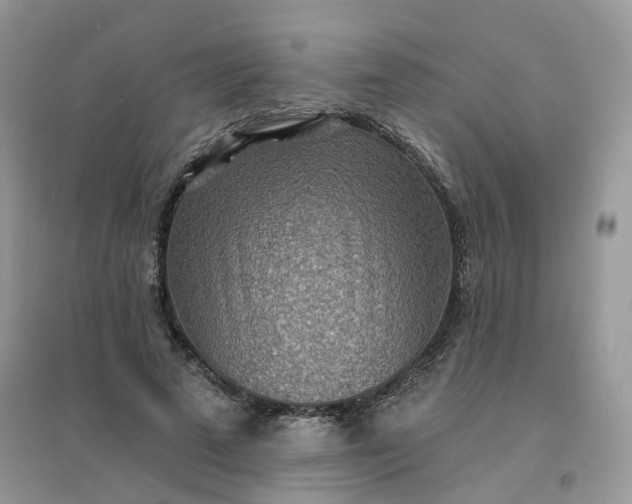 X0000096150689200802011233